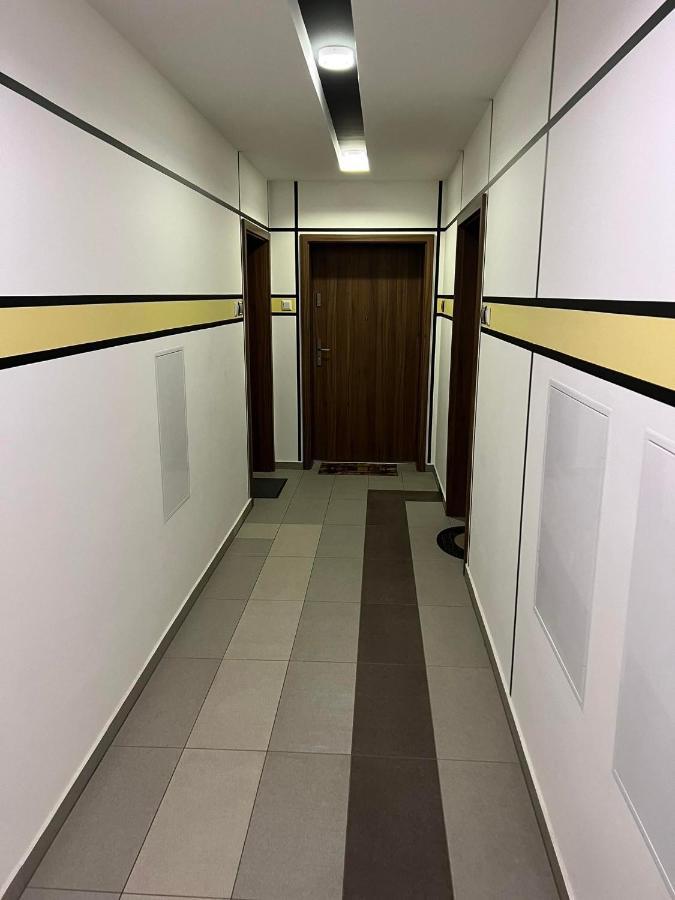 Big Forest Apartman Daire Debrecen Dış mekan fotoğraf
