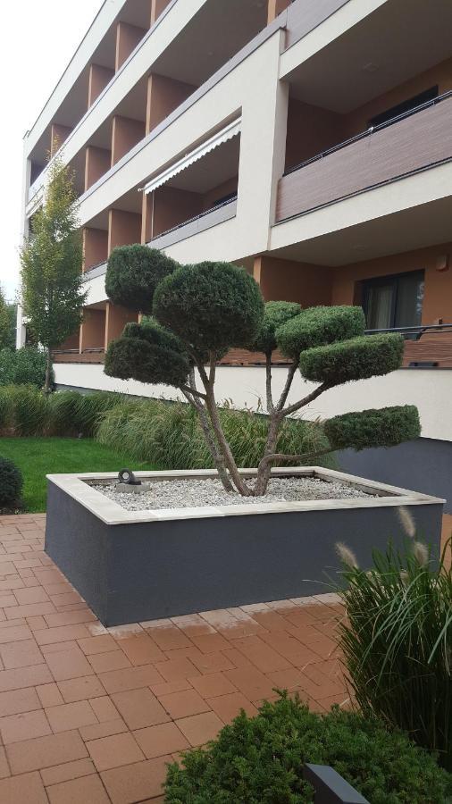 Big Forest Apartman Daire Debrecen Dış mekan fotoğraf