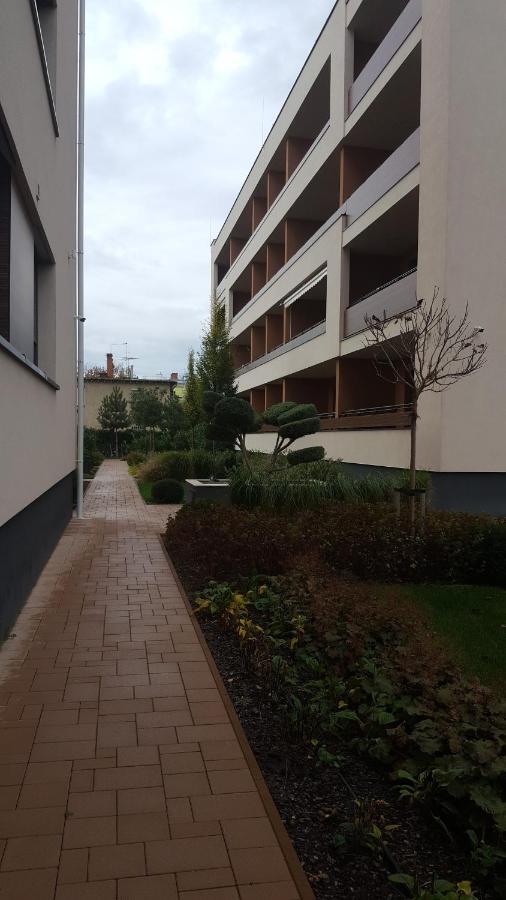 Big Forest Apartman Daire Debrecen Dış mekan fotoğraf